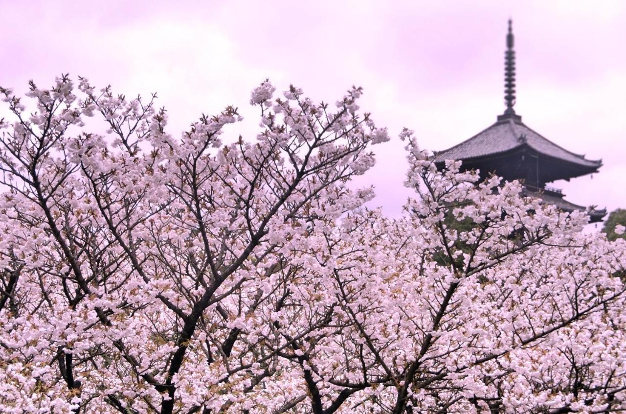 Rejoice Stay Kyoto Nijo Gekko Exteriér fotografie