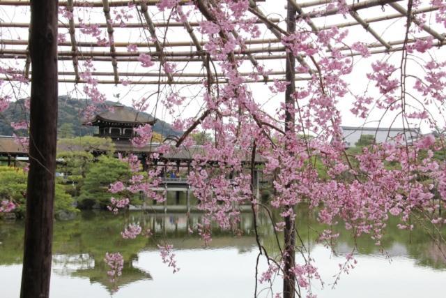 Rejoice Stay Kyoto Nijo Gekko Exteriér fotografie